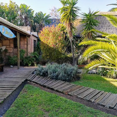 Saltycrax Backpackers And Surf Hostel By Curiocity Bloubergstrand Esterno foto