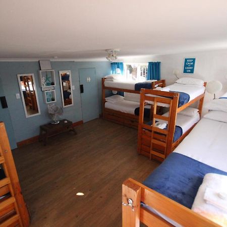 Saltycrax Backpackers And Surf Hostel By Curiocity Bloubergstrand Esterno foto