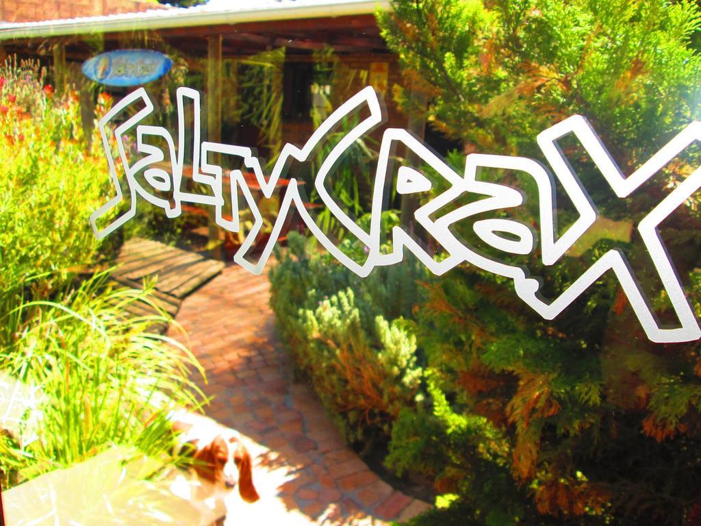 Saltycrax Backpackers And Surf Hostel By Curiocity Bloubergstrand Esterno foto