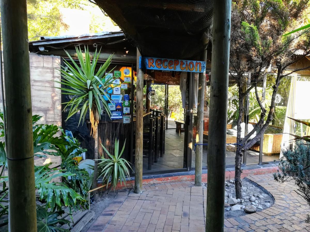 Saltycrax Backpackers And Surf Hostel By Curiocity Bloubergstrand Esterno foto