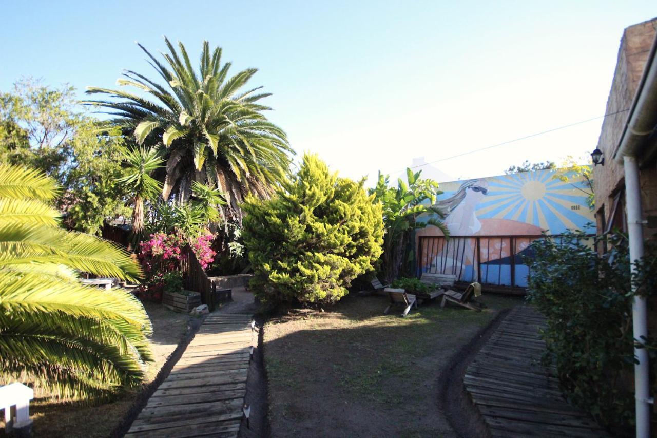 Saltycrax Backpackers And Surf Hostel By Curiocity Bloubergstrand Esterno foto