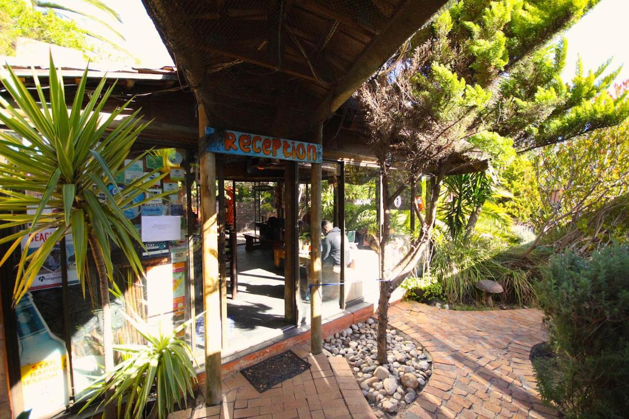 Saltycrax Backpackers And Surf Hostel By Curiocity Bloubergstrand Esterno foto