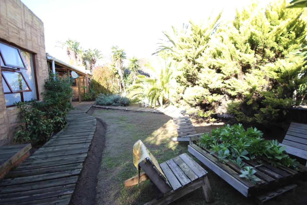 Saltycrax Backpackers And Surf Hostel By Curiocity Bloubergstrand Esterno foto